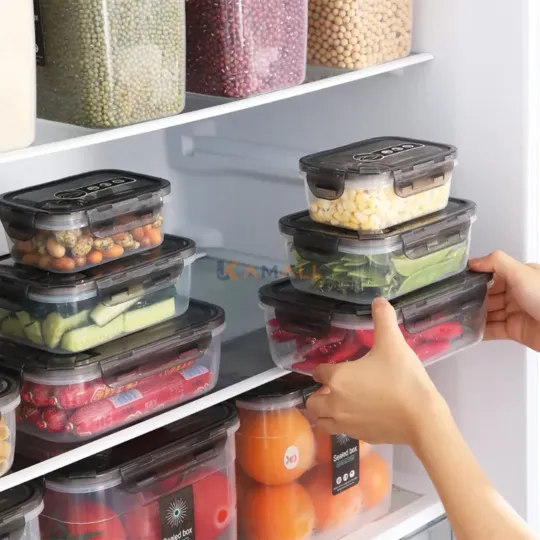 Boîte de Rangement avec Couvercle 1 L en Plastique