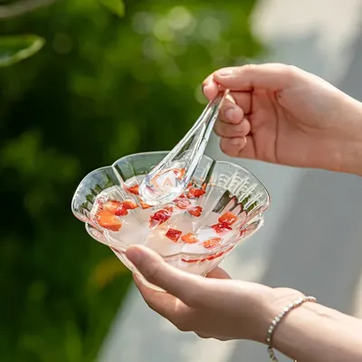 Lot de 6 bol en verre 250ml