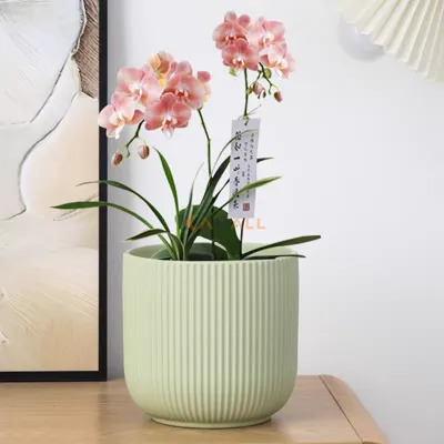 Bac à Plante en Plastique – Pot de Jardin Rond 25 cm pour Plantes Intérieures et Extérieures